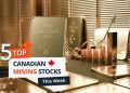 Top 5 Canadian Mining Stocks This Week: Belo Sun is Radiant with 109 Percent Gain